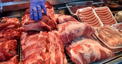 Las exportaciones de carne son récord histórico, pero sigue frenado el consumo interno