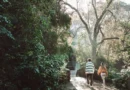 Septiembre en Yerba Buena: naturaleza, turismo y actividades para disfrutar en familia