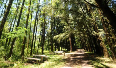 Tucumán conmemora 90 años de sus primeras áreas naturales protegidas