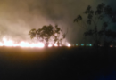 Incendio en una finca de Lastenia: se quemaron rastrojos y pastizales