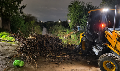 Reporte de lluvias en San Miguel de Tucumán: 39 milímetros y un árbol caído