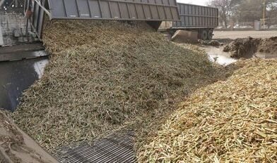 La zafra en Tucumán presenta un avance del 54%