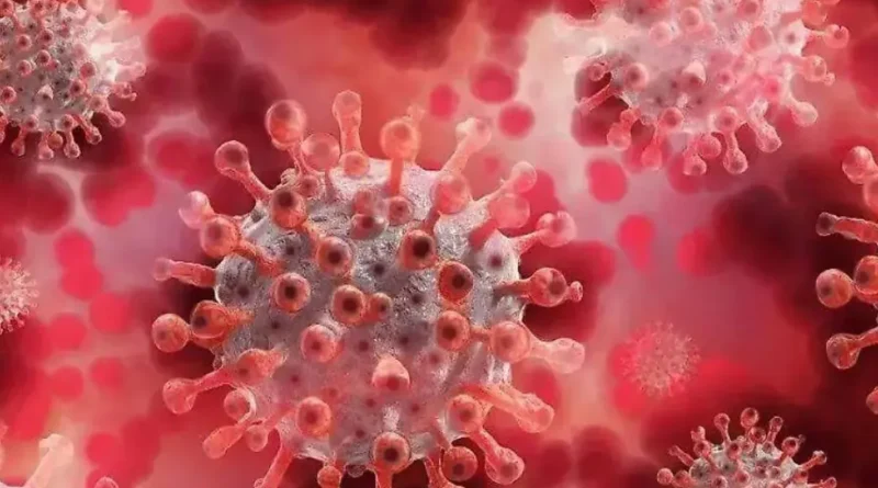 Argentina confirmó los primeros casos de la variante BA.3.2 del virus del COVID