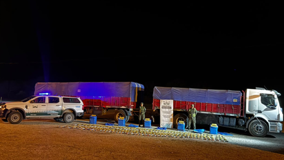 Control en Tucumán: gendarmes descubrieron 248 kilos de hojas de coca