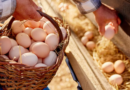 Argentina lidera el consumo mundial de huevos: 430 por persona