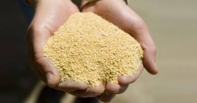 La harina de soja argentina consigue una prima de US$6 por tonelada ante la fuerte demanda europea