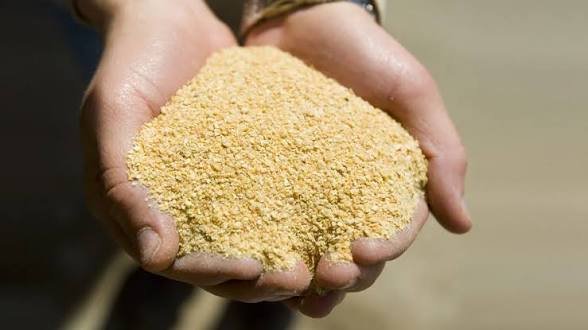 La harina de soja argentina consigue una prima de US$6 por tonelada ante la fuerte demanda europea